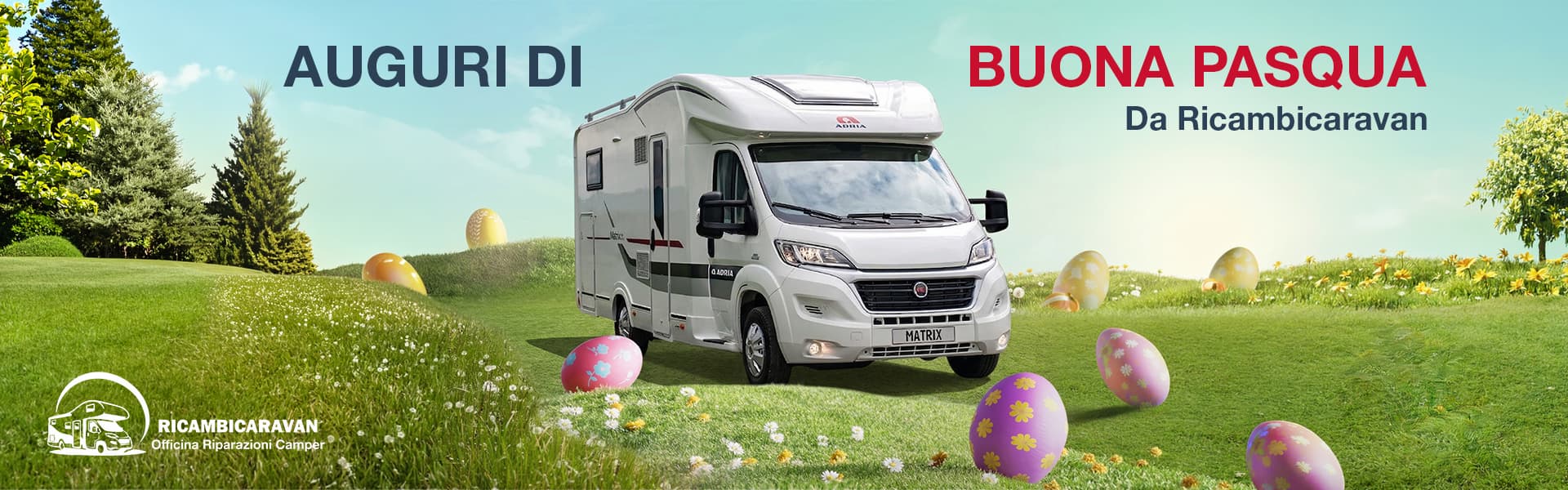 10 Anni di Attività